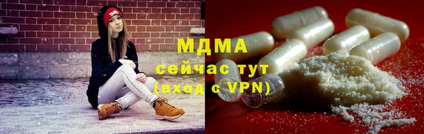 мдпв Богданович